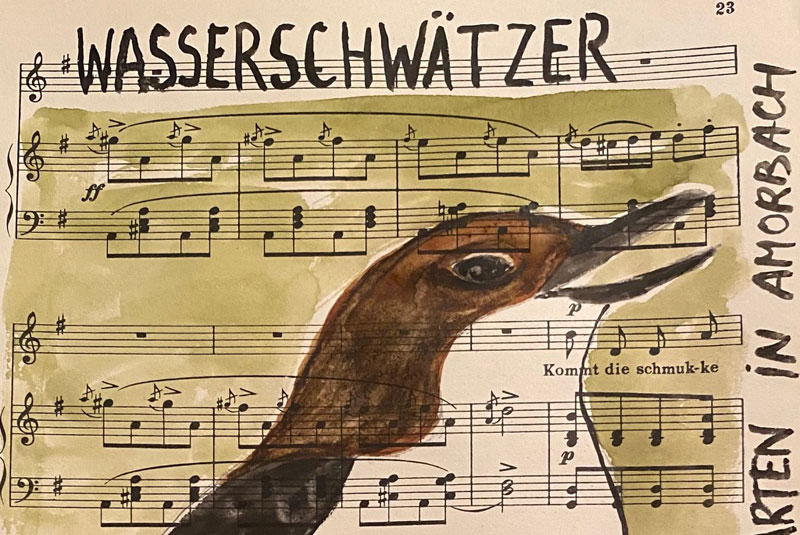 Fredie Beckmans 2026